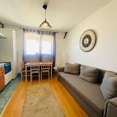 17 Horses Studio Apartment Sibiu Luaran gambar