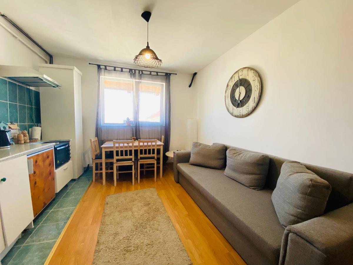 17 Horses Studio Apartment Sibiu Luaran gambar